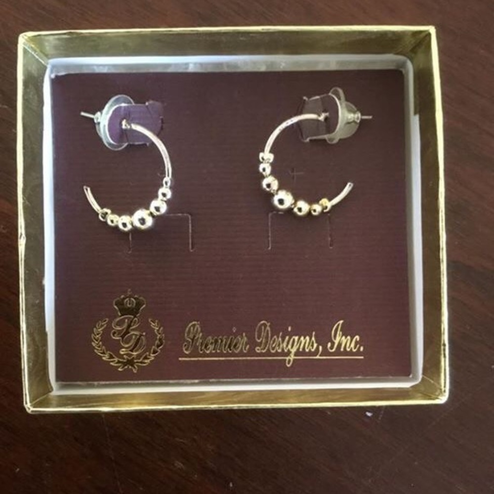 Playful Silver Earrings (Costume Earrings)
